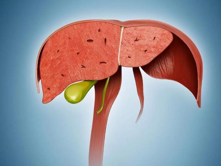 长期服用阿托伐他汀有什么危害,阿托伐他汀长期服用有什么后果