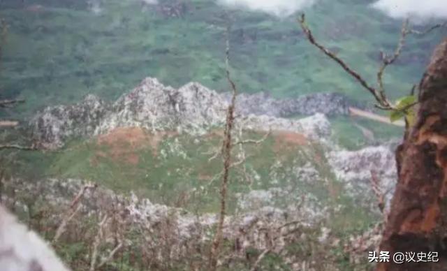 老山“黑豹行动”纪实，越南以为我们用了两个团，其实不到一个连