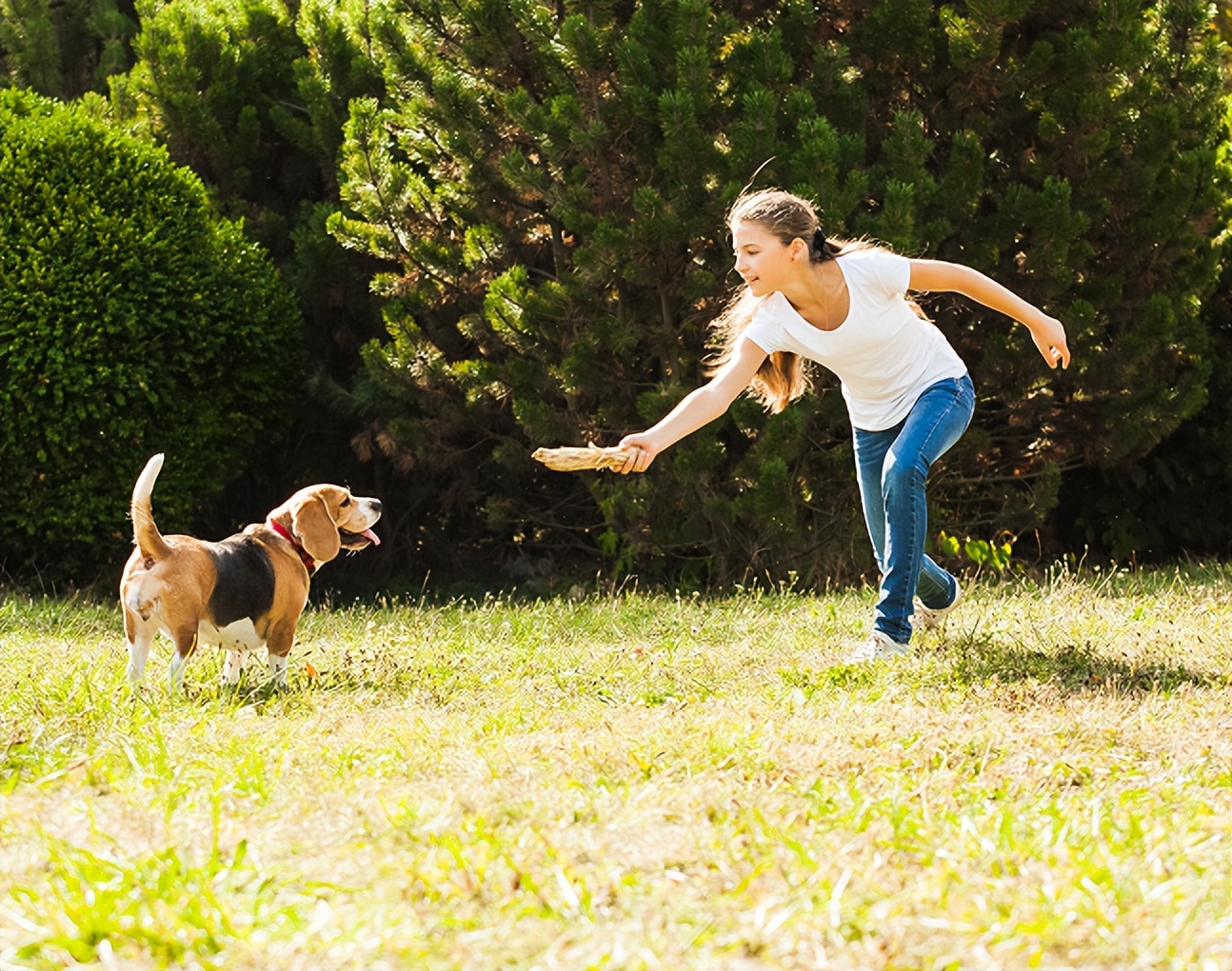 双相情感抑郁期家属怎么帮助调节,双相的抑郁期家人如何陪伴