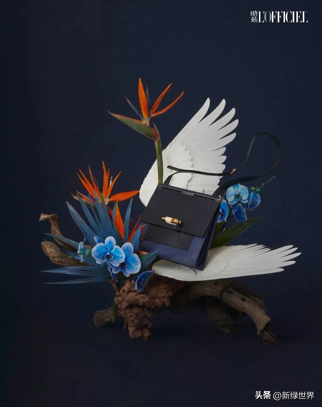 纸艺作品绘画,千变万化的纸艺术作品