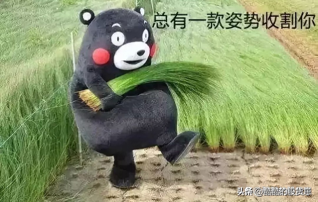 可以买一股股票吗,买1股股票值得吗