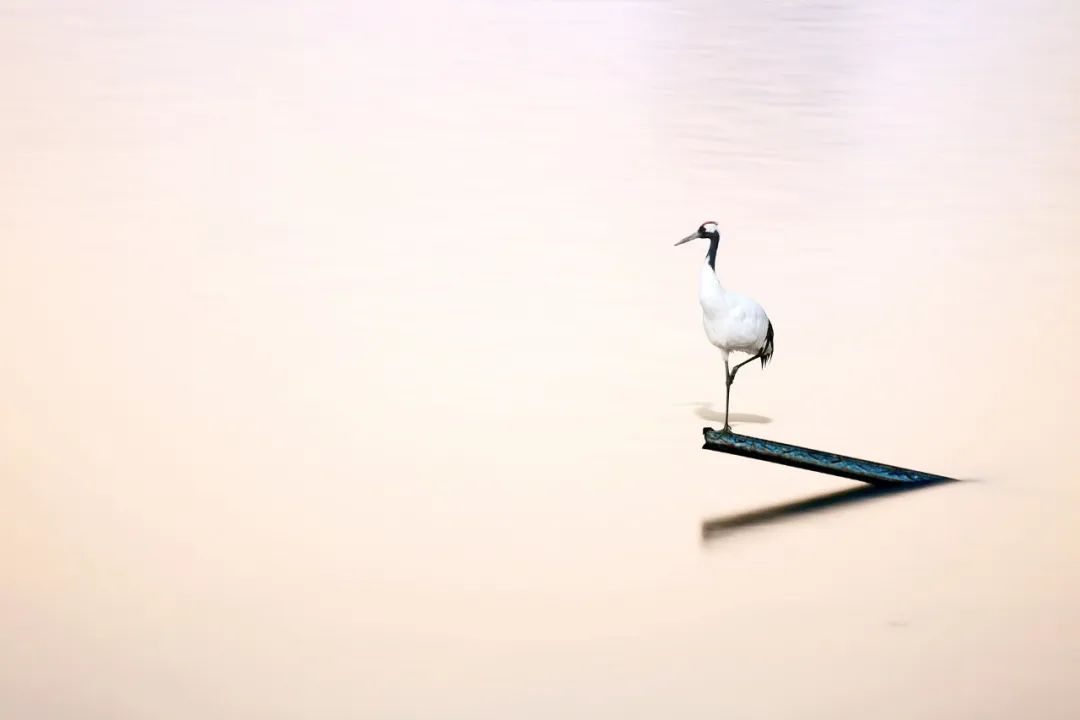 100条历史典故完整版,100个文学典故让你读懂半个中国