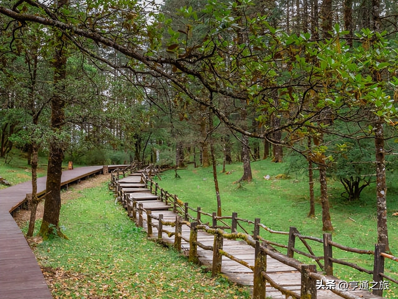 旅游团云南大理7日游包机票,云南机票旅游团