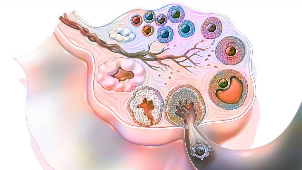 月经结束,却出现褐色分泌物,这是为何?若你也有,建议了解一下