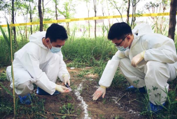 00后喜欢的专业排行榜,00后法医专业