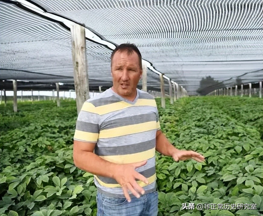 1718年法国一艘货船和清朝贸易，彻底改变了中国用人参的历史