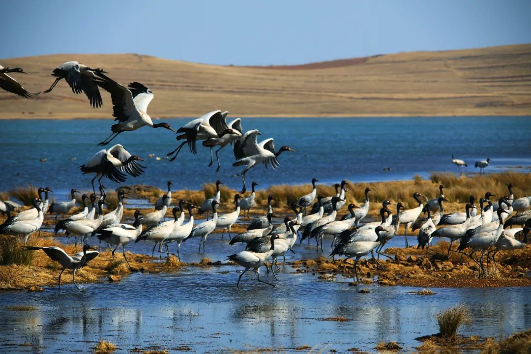 昆明七彩云南怎么样,七彩云南避暑家园