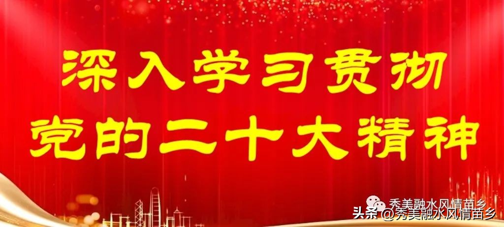 【2022年工作亮点展示】乡镇系列第一组：融水、永乐、和睦、四荣、香粉、怀宝、三防、汪洞、同练、滚贝