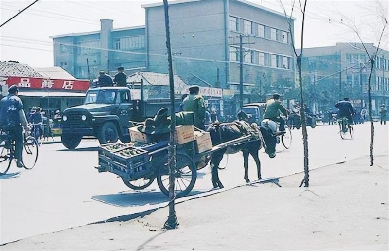双桥流氓案件,双桥老流氓杀人案纪实