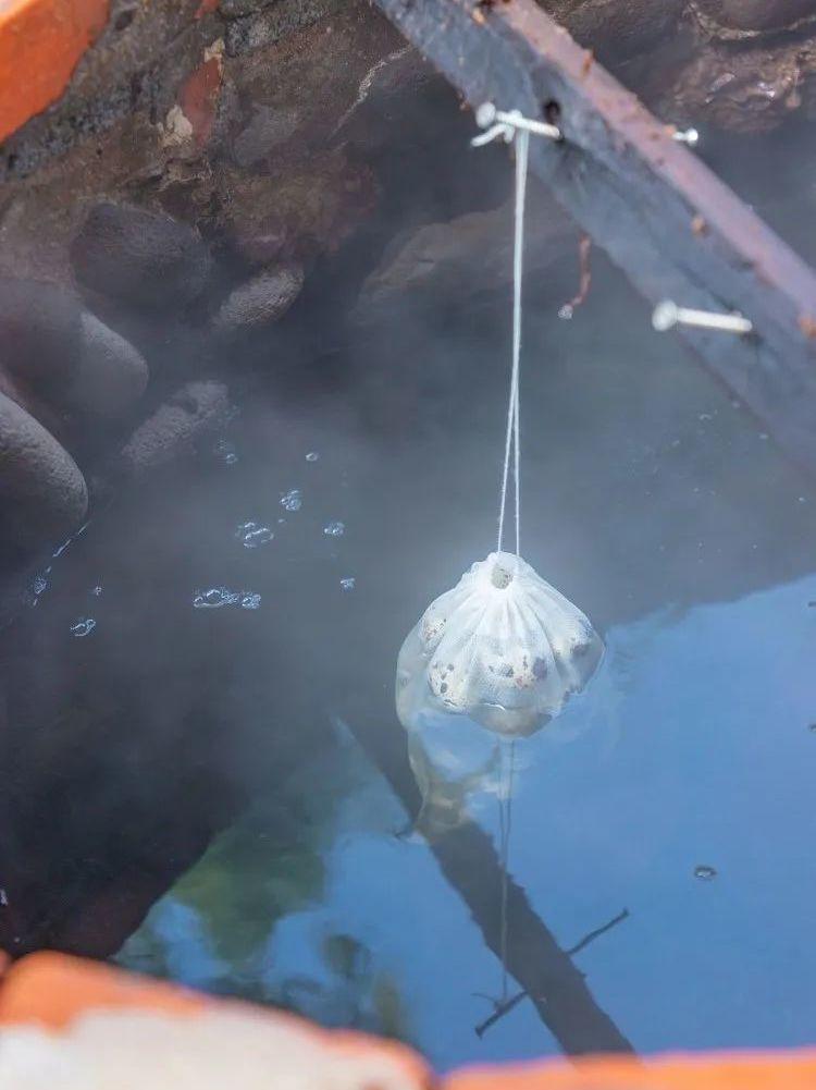 沉浸式泡温泉水酷汤泉,冬季室外温泉别样感受