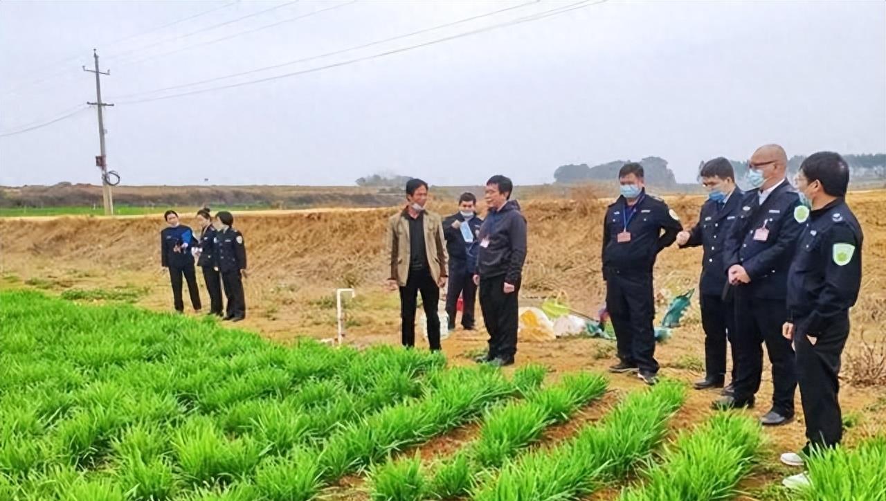 农村收物业管理费是国家规定吗,农村收取的物业管理费