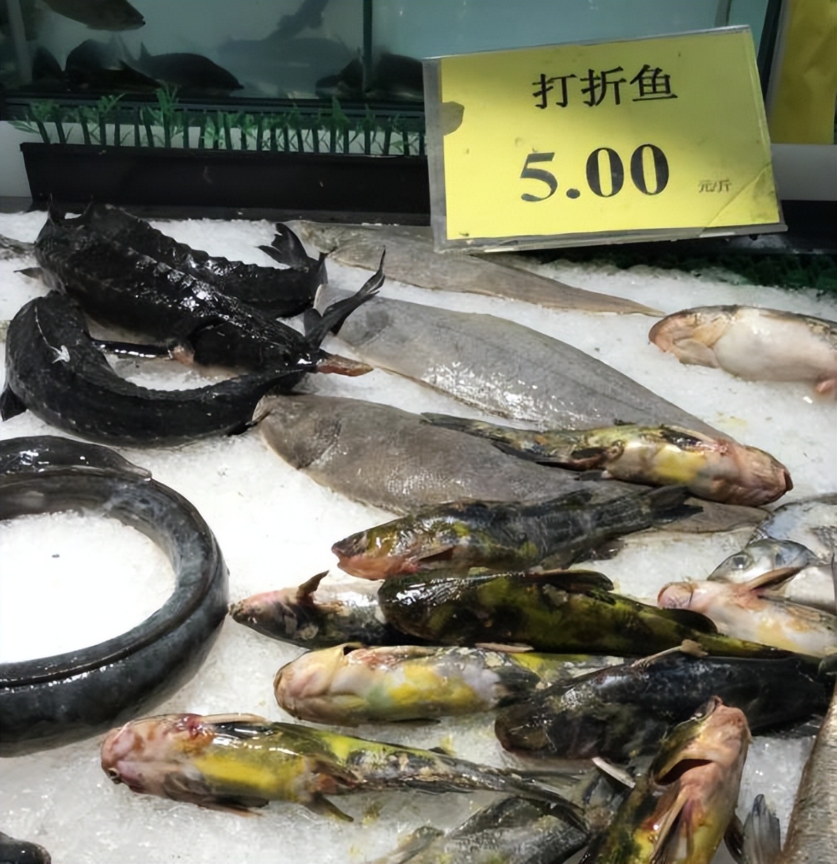 超市这3样东西，打一折也别买，收银背后嘲笑你，老板拿你当傻子