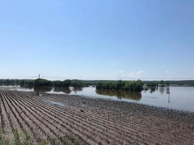 八月十五定收成什么意思,七月十五定旱意味什么