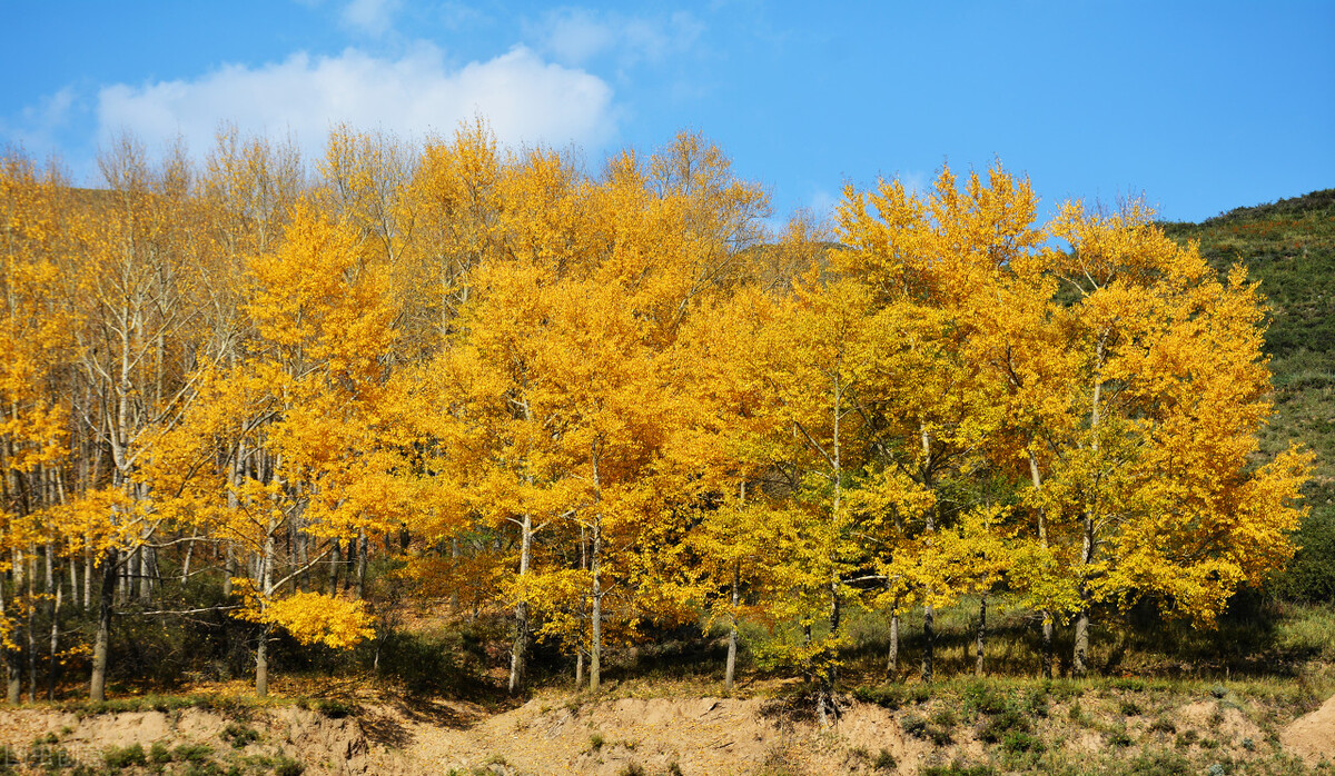 开启全民K歌这个设置功能，我发现了社恐患者的新天地