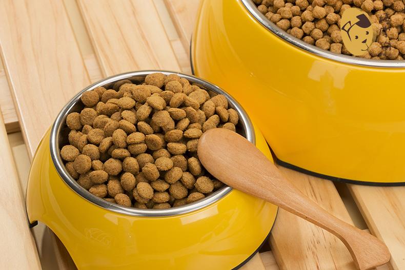 泰迪不建议养的原因,泰迪皮肤有黑色斑点什么原因