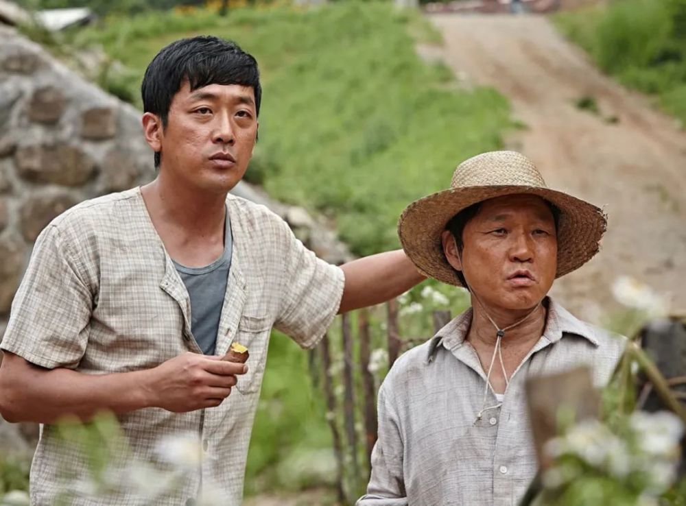 余华的许三观卖血记经典语录,余华许三观卖血记分享感悟