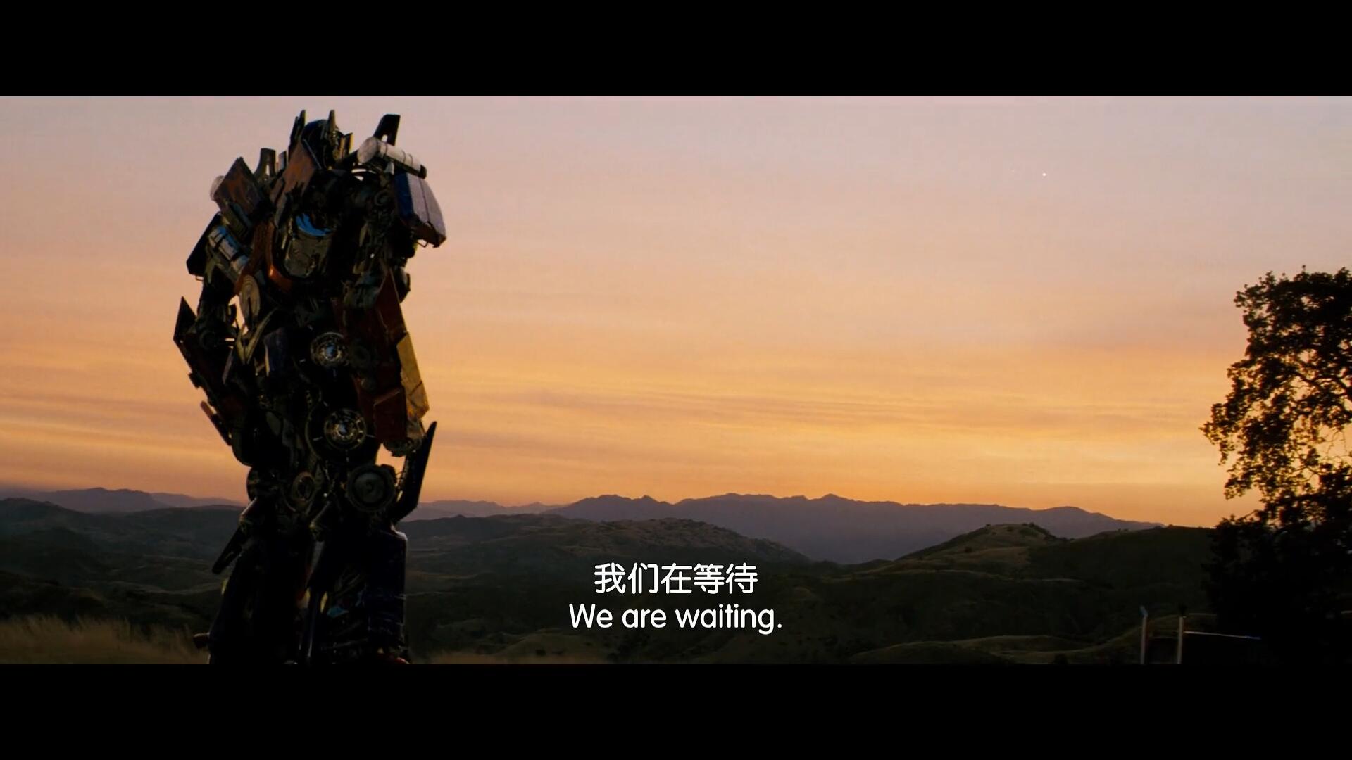 这几年必看的变形金刚电影,变形金刚六个不容错过的电影