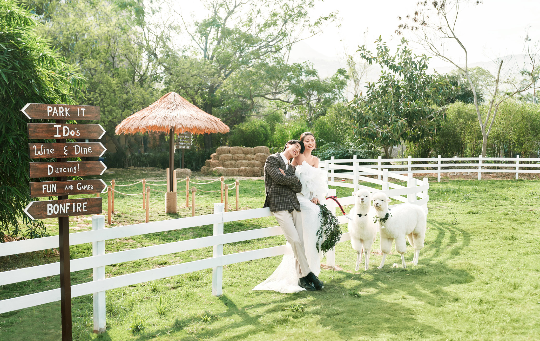 拍摄婚纱照怎么才能拍得更好看,婚纱照姿势pose