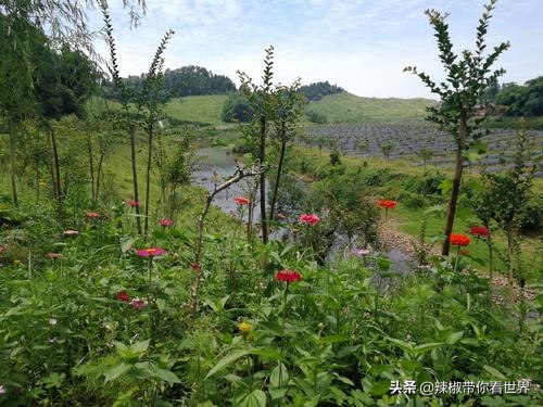 东坡故里天府眉山,四川眉山两宋800进士