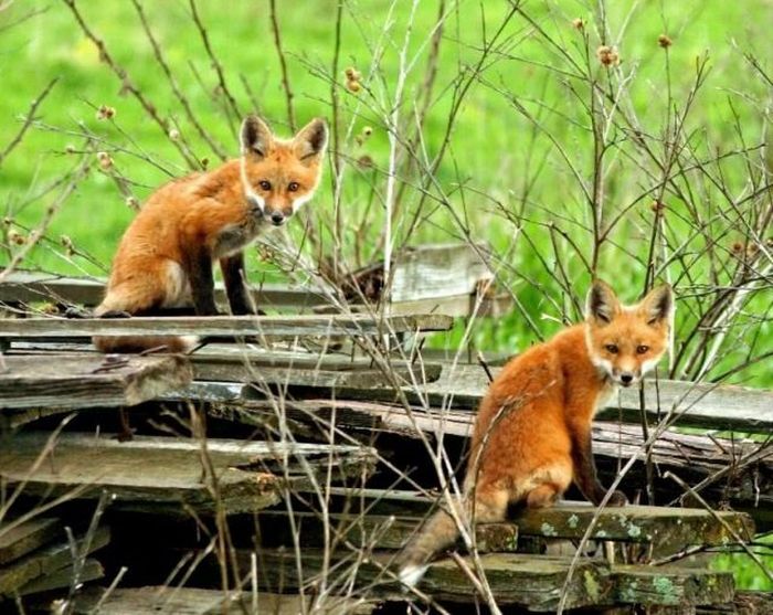 100个难得一见照片,难得一见12张照片