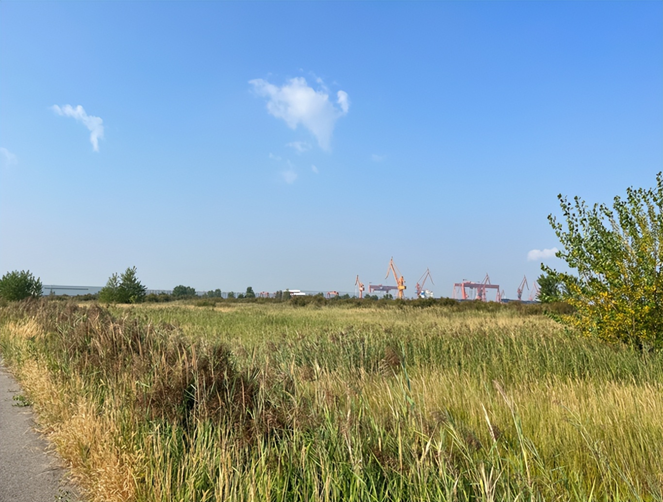 天津新港船厂安置,天津新港船厂搬迁计划