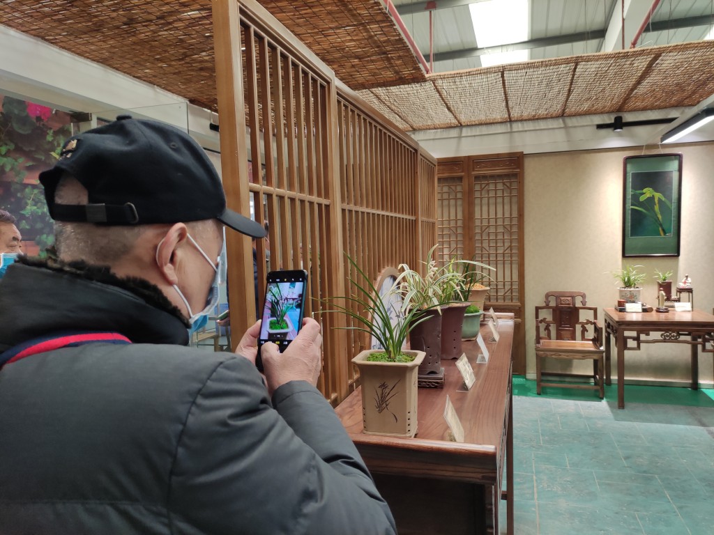 “金陵兰汇”兰花馆于江宁湖东29盛大开业,香飘四溢