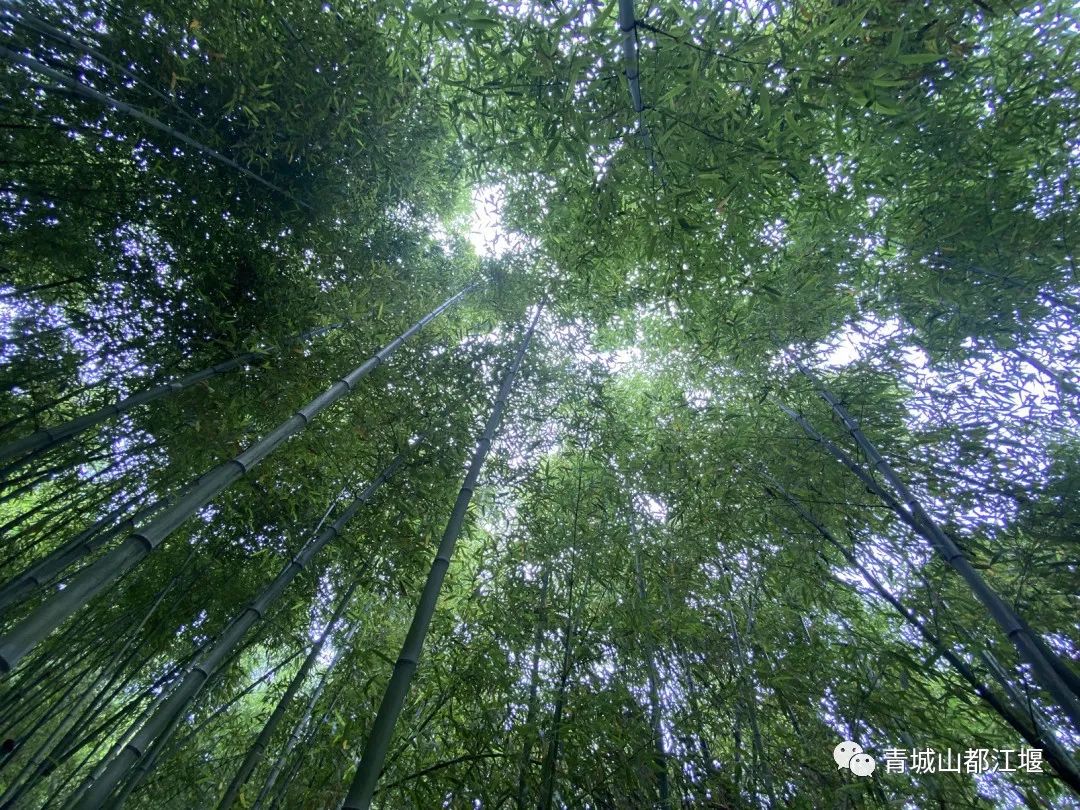 水灵妹旅行攻略,水灵妹旅游景点
