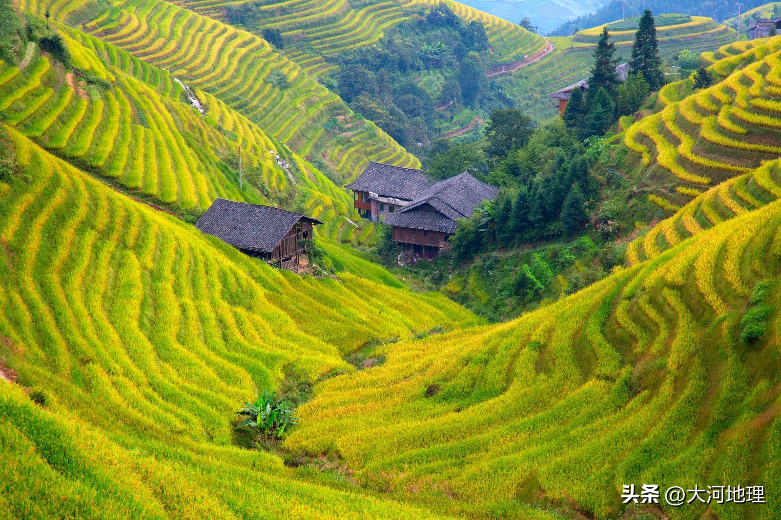 中国南方这30个景点,难说多知名,但敢说它的秋色最艳最浪漫