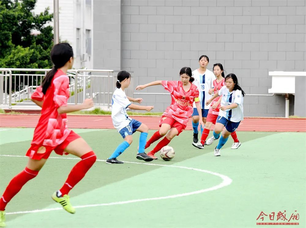 莆田开花,莆田花开