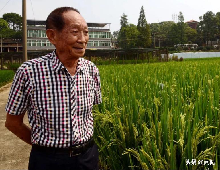 最年轻的博导颜宁,女教授颜宁最新研究