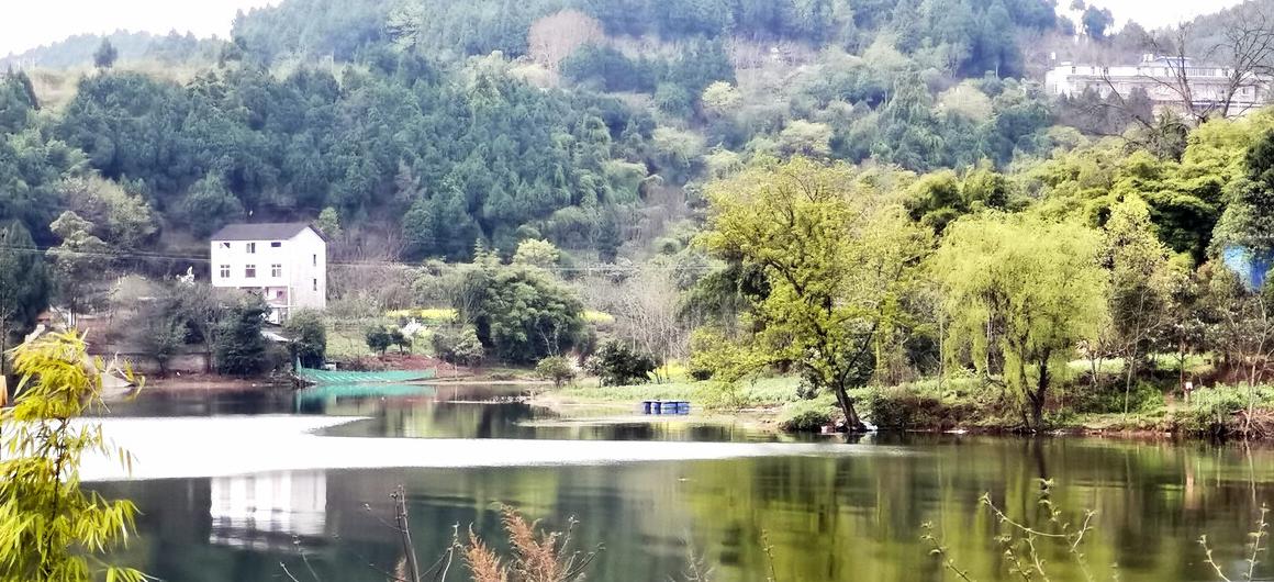 成都五一出游的宝藏路线,成都周边的宝藏打卡地