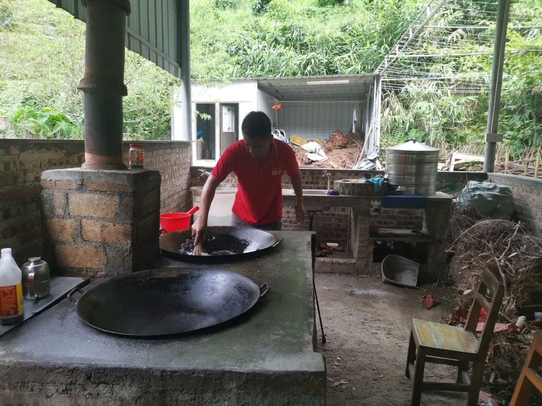 深山老林创业,从大山走出的创业之路