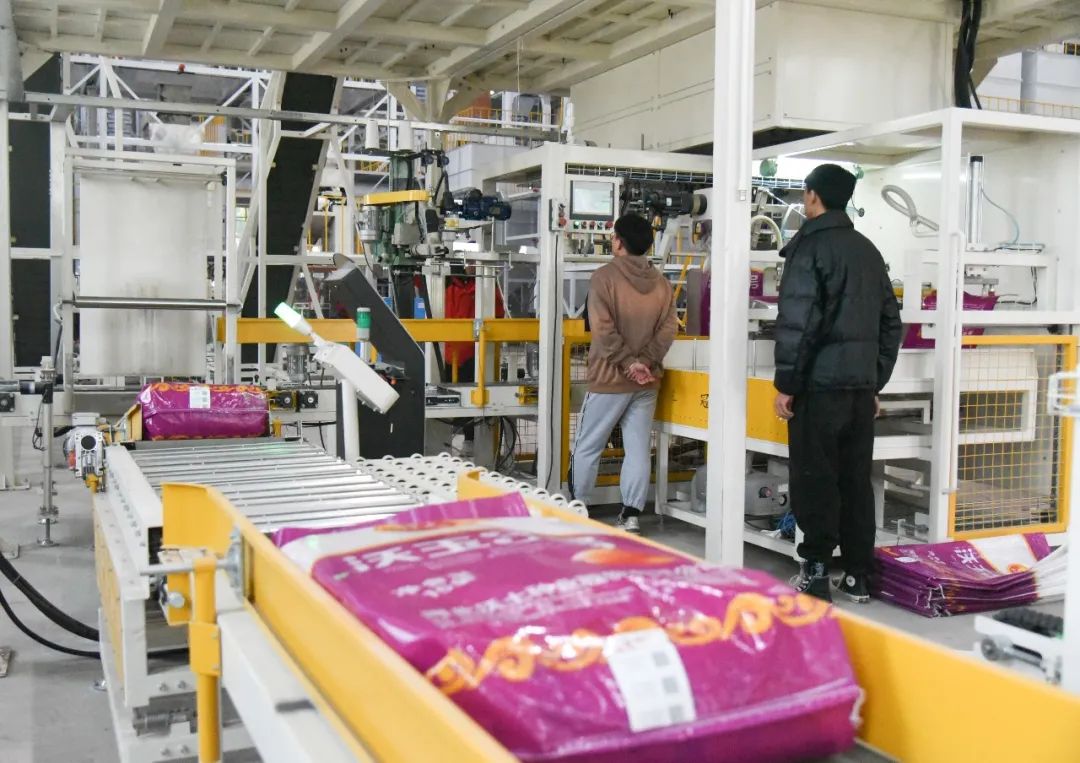 干出项目“加速度”，打造邯郸肥乡“种业高地”