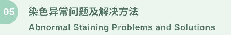 细胞涂片染色方法,涂片与染色操作