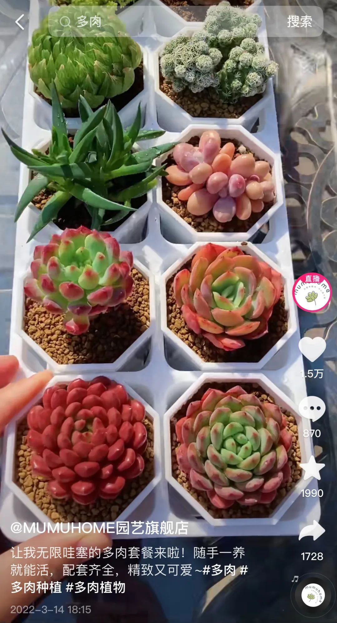 云南鲜花饼顺丰包邮24小时发货,鲜花饼顺丰包邮24小时发货