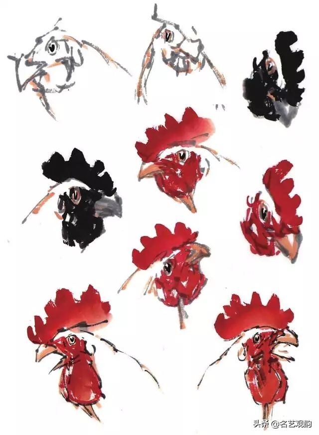 十二生肖鸡画法步骤,鸡的画法简笔画步骤