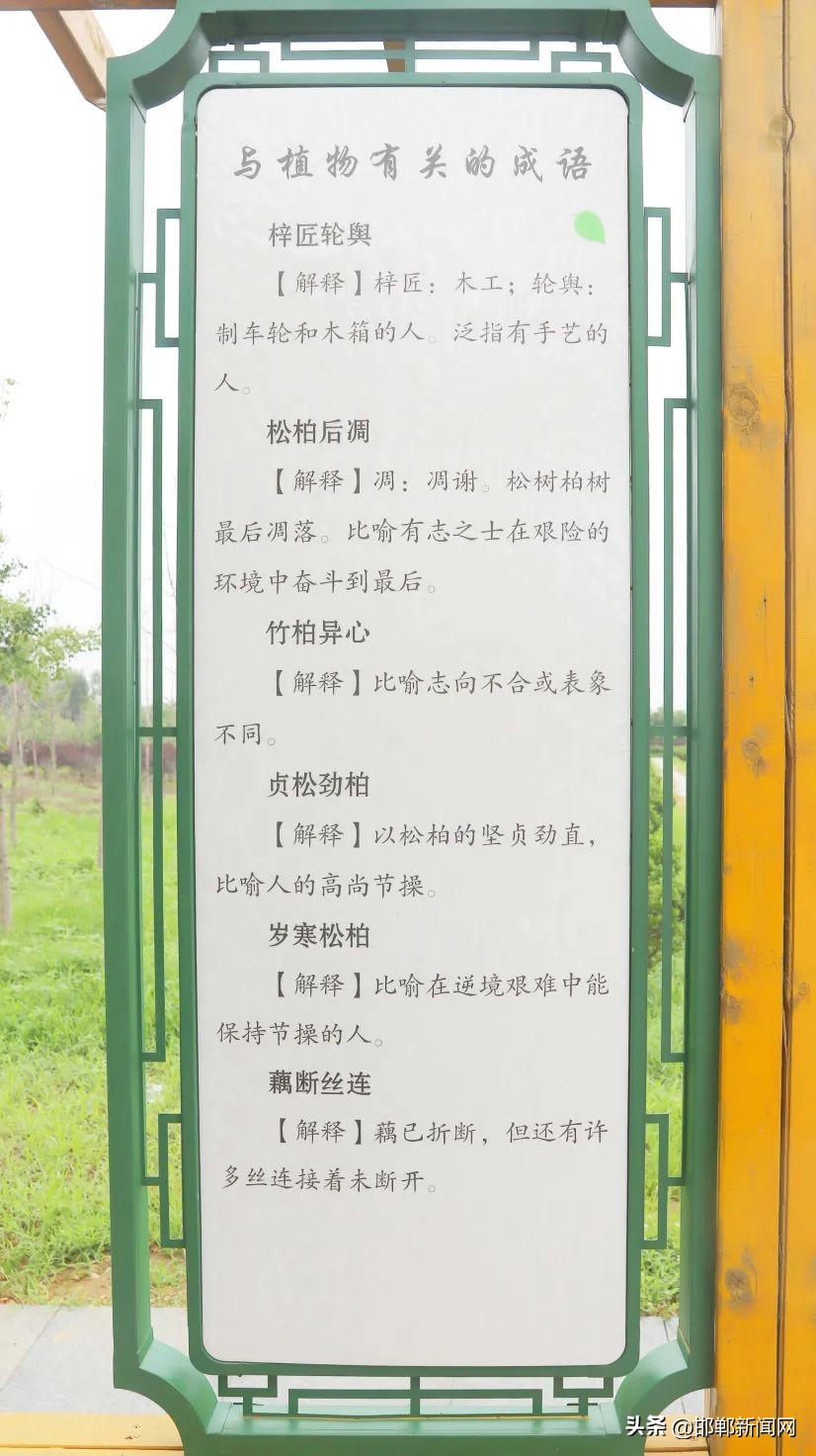 峰峰网红打卡地,寓教于玩幼儿园