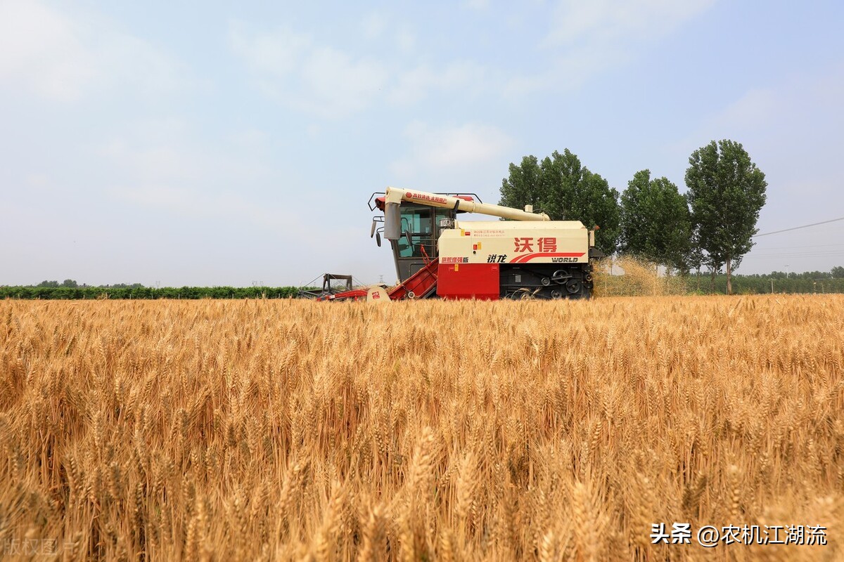 东方红lx904对比沃得1204哪个好点,小麦收割机中国vs德国