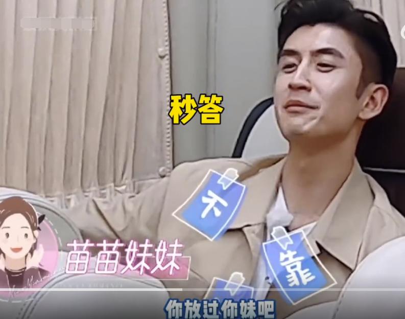 郑钧评价苗苗扮猪吃老虎,苗苗评价郑钧刘芸