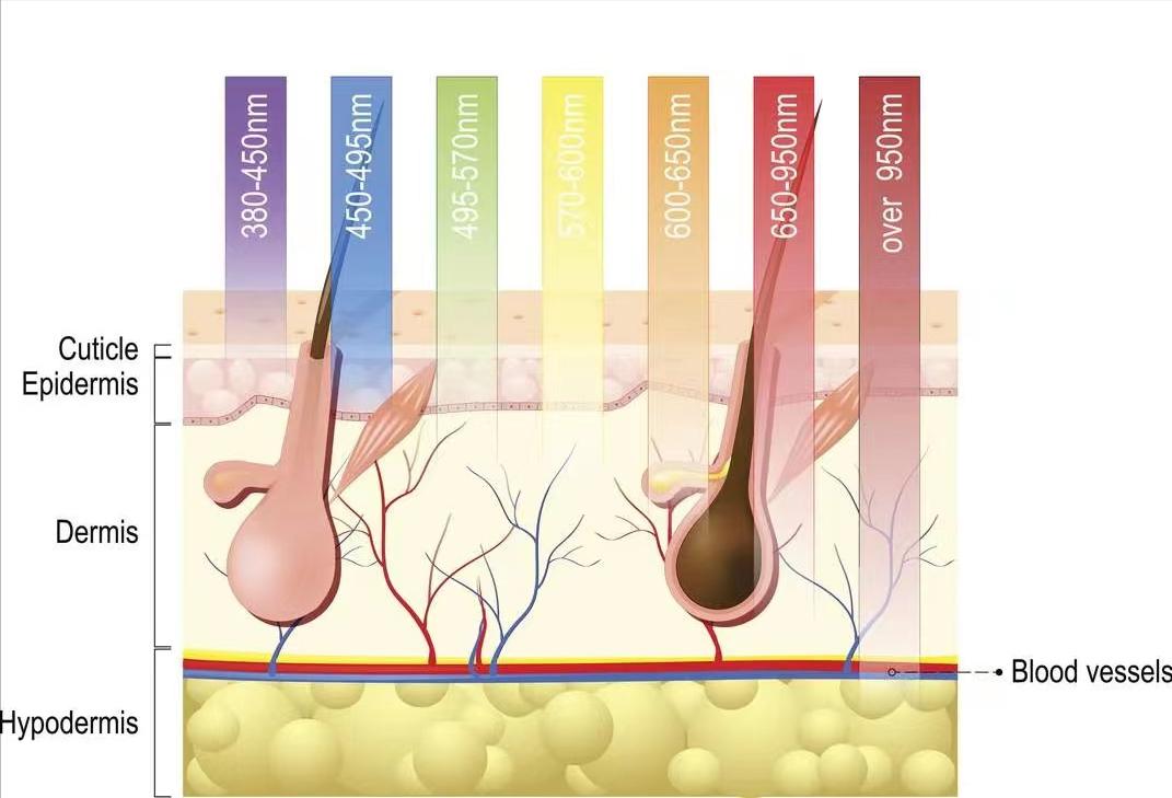 家用美容仪哪个效果最好,家用美容仪视频教程