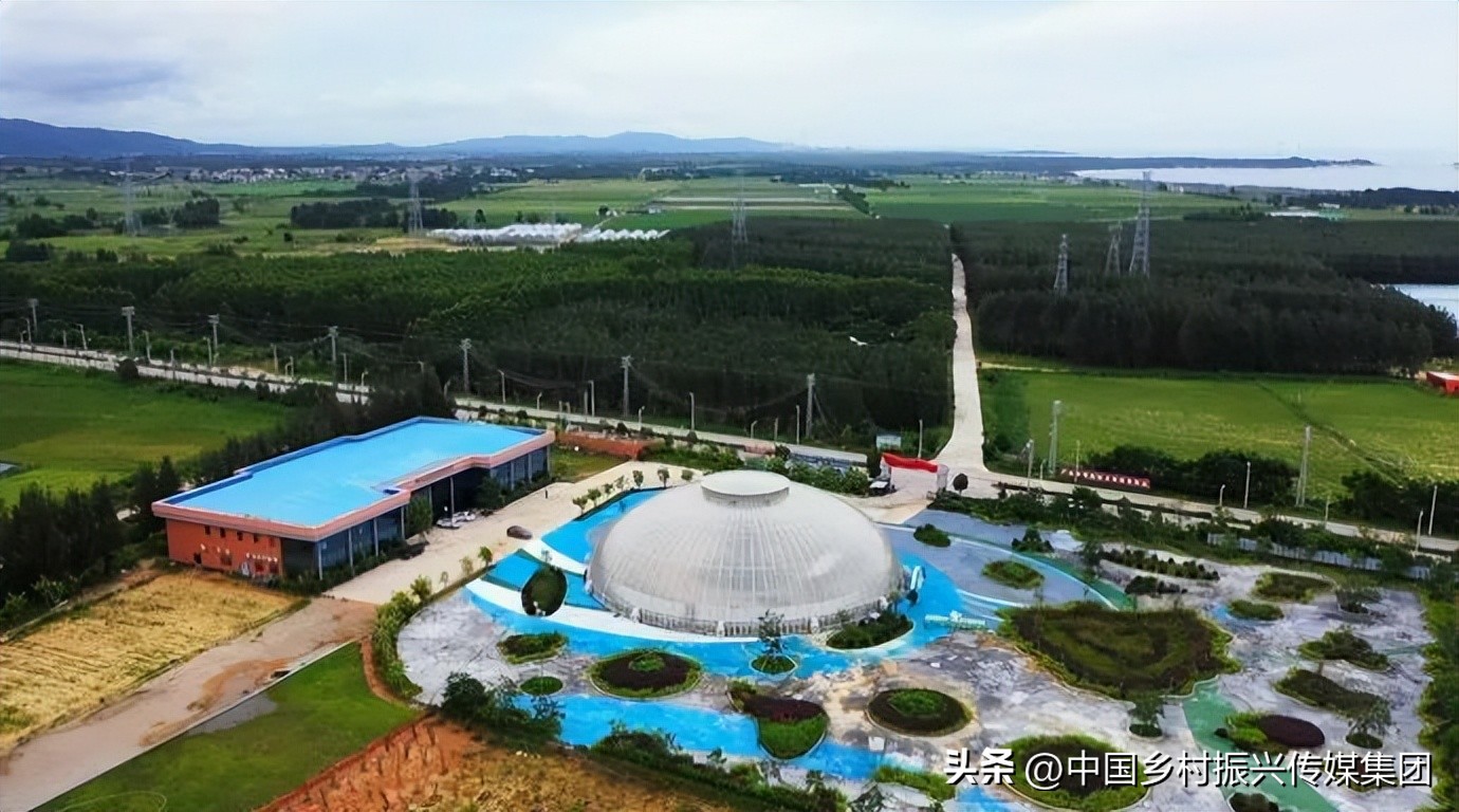 乡村振兴扶持项目在哪里申报,2023年乡村振兴项目补贴申报指南