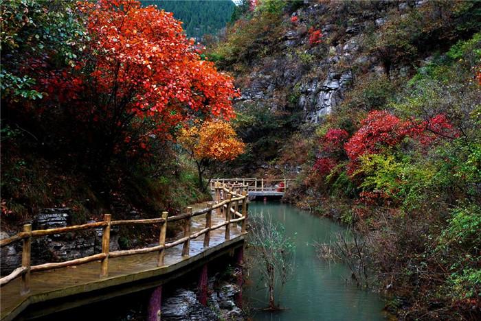 潍坊户外拓展训练哪里有,潍坊户外拓展策划