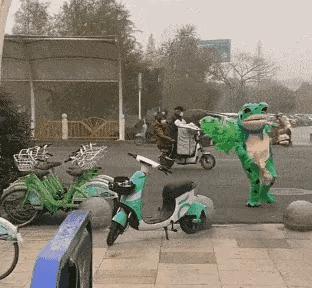 卖崽青蛙遭遇,卖崽青蛙来源