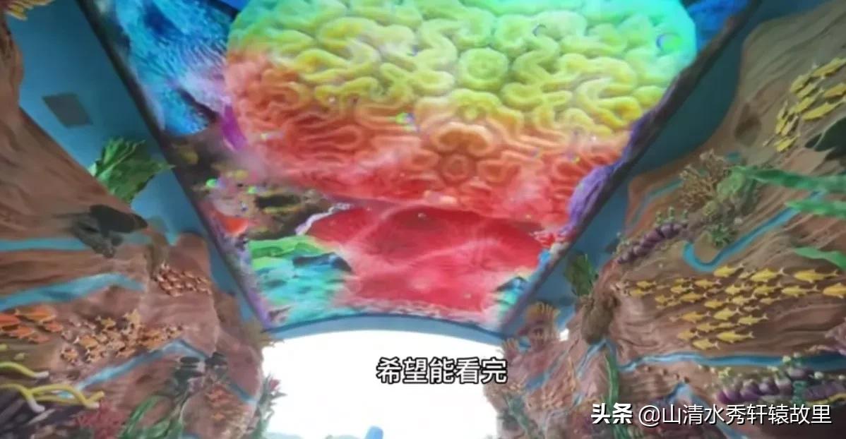 珠海长隆海洋王国一日游攻略,珠海长隆海洋王国一日游多少钱