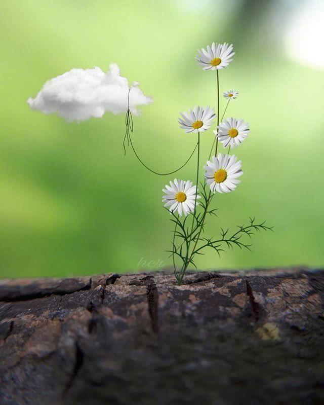 孤独寂寞伤感经典句子朋友圈,一个女人在他乡孤独伤感的句子