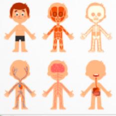 女儿偷看“小黄书”，妈妈遭暴击：性教育，对于孩子多重要？