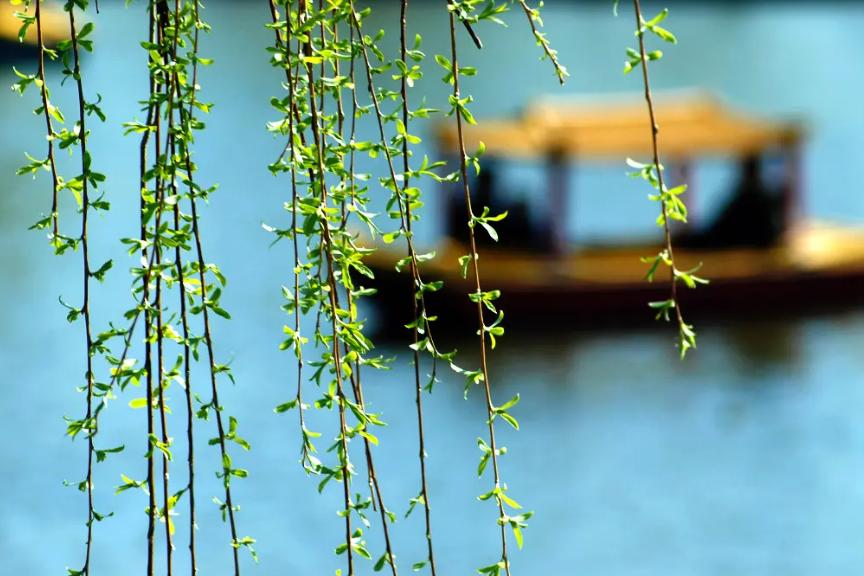 春日正好莫负春光,春日诗集大赏