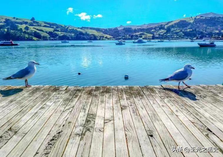 孤悬海外的新西兰,闷声发大财的最好代表