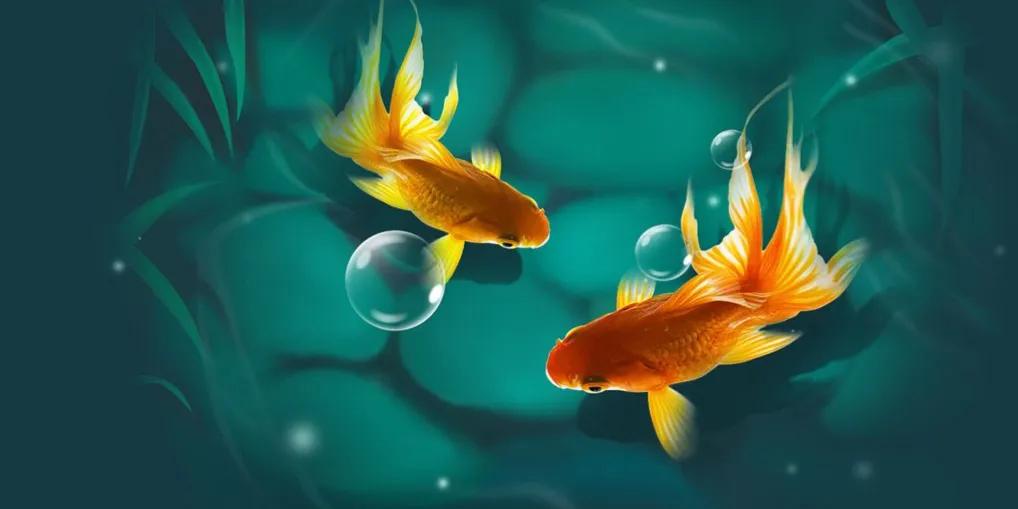 古代四大美女之首西施的故事,中国四大美女之首西施故里