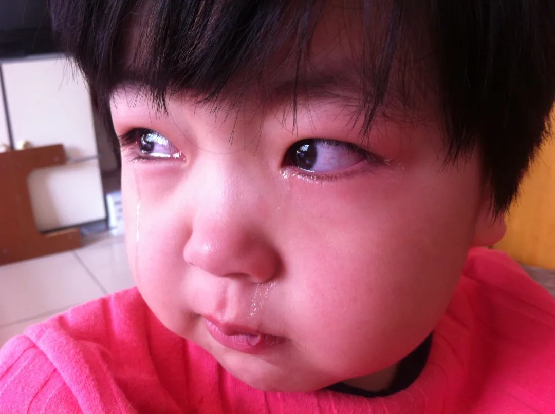 那些花儿|翻过高山看见海，寻找属于自己的光